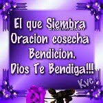 Fausto. sierra - @fausto_sierra - Instagram