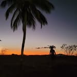 Fausto Simões - @fausto.simoes - Instagram