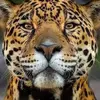 Fausto Sousa763 - @fgls78 - TikTok