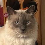 Fausto Valenzuela - @fausto_valenzuela0 - Instagram