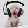 Fausto Valenzuela - @fausto199633 - TikTok