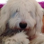 Fausto velazquez Zamudio - @fausto123zamudio - Instagram
