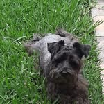Fausto Andres Vergara Martinez - @faustoandresv - Instagram