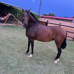 Fausto Vergara - @faus.to1110 - Instagram