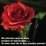 Faviola Alvarez - @alvarez.faviola - Instagram
