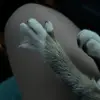 Faviola Diaz - @favioladiaz8 - TikTok