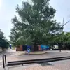 Faviola Rivera - @fabis1330 - TikTok