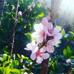 faviola Sánchez - @elenafaviolas - Instagram