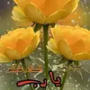 Fawad Hasan - @fawad.hasan11 - TikTok