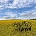 Fawn Clark - Facebook