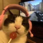 cole - @fawncole_totz - Instagram