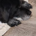 Fawn Cook-Moncrief - @fawn.cook.5 - Instagram
