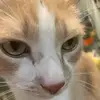 user5141437557500 - @fawncookie82379 - TikTok