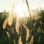 FAY096 - @fayali096 - Instagram