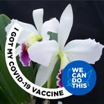 Fay Bailey Seaton - @fcuriousone - Instagram