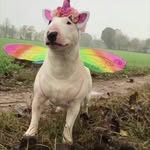 Fay ball - @fayball580 - Instagram