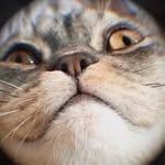 𝐅𝐚𝐲 𝐁𝐚𝐥𝐥 𝐁𝐚𝐥𝐥 - @fayball_720 - Instagram