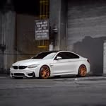 Fayvelle Bauer - @fayvelle_bauer - Instagram