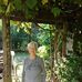 Fay Beard - Facebook