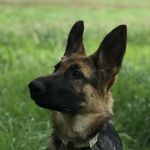 Bentley Fayen - @bentleyfayen - Instagram