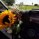 faybest - @live_well_and_dance - Instagram