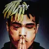 fayblanton1 - @hamster.3190 - TikTok