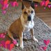 Fay Bowden - Facebook