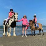Fay Boyd Griffiths - @fayboydgriffiths - Instagram