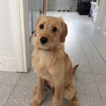 Fay Bradley - @faybradley2 - Instagram