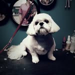 Faye Brannon - @foxie_soxie - Instagram