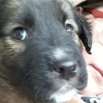 Faye Brewer - @faye.brewer.319 - Instagram