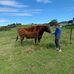 Fay Browne - Facebook