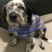 Fay Buckley - Facebook