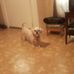 Faye Bunch - Facebook