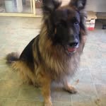 Fay Burns - @faybo191933 - Instagram