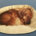 Fay Burr - @fayburr - Instagram