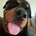 Fay Bush - Facebook