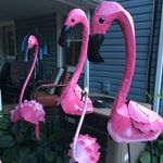 Fay E. Butcher - @faybutcher48 - Instagram