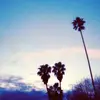 faybyrd937 - @faybyrd937 - TikTok