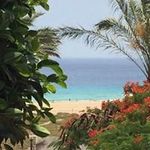Fay Campbell - @fay_c68 - Instagram