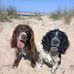 Fay Carmichael - Facebook