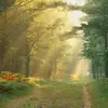 faycarson78 - @faycarson78 - TikTok