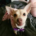 Brenda  Fay Castro - @brendafay6 - Instagram