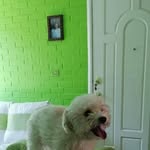 Fay Castro - @castrofay067 - Instagram