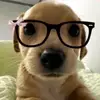 Daliyah Cardoza - @celeste_fay756 - TikTok