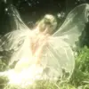 faye - @celestefaye_ - TikTok