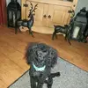Fay Chalmers - @fay.chalmers - TikTok