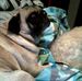 Fay Chambers - Facebook