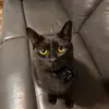 faychampion378 - @faychampion378 - TikTok