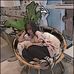 Fay Chang - Facebook